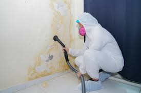 Best Industrial Mold Remediation  in USA